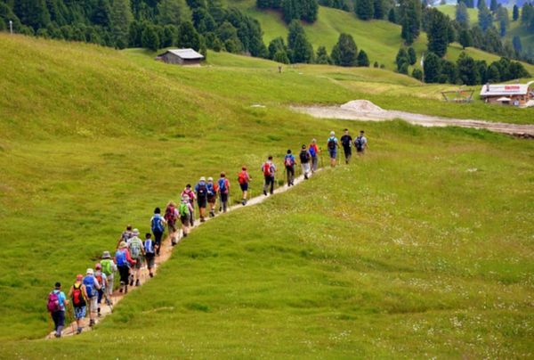 200+ Best Walking Team Names Perfect for 5k's and Step Challenges - Food  Truck Empire
