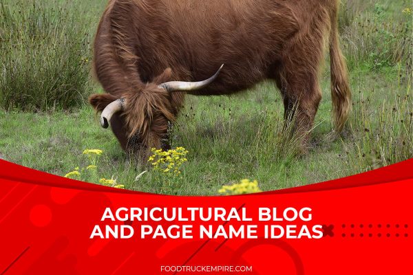 Agricultural Blog