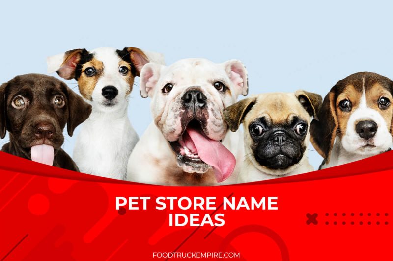 737-cute-pet-store-name-ideas-for-online-and-offline-sales