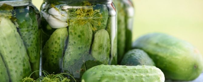Pickled cucumbers, known as Dill Pickles, are the #1 pickles in America Pickled cucumbers, known as Dill Pickles, are the #1 pickles in America