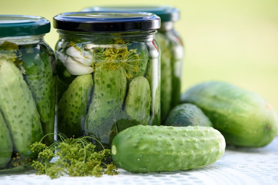 Pickled cucumbers, known as Dill Pickles, are the #1 pickles in America