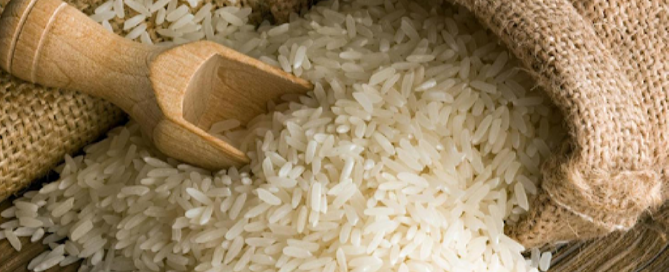 Rice is one of the most popular grains in the United States Rice is one of the most popular grains in the United States