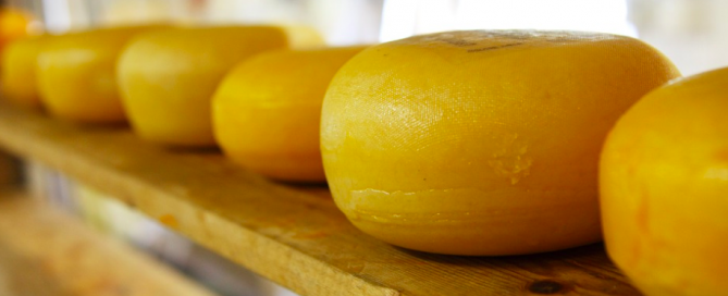 Cheese wheels. cheese wheels