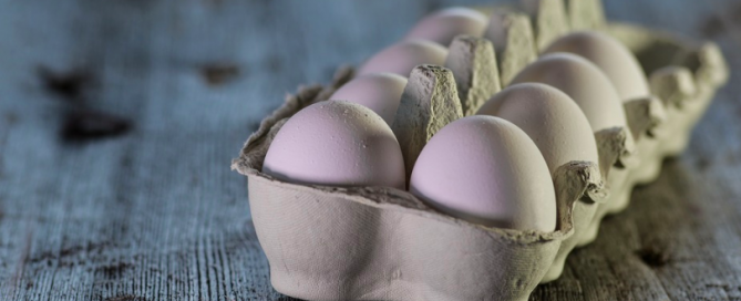 What will you make? egg carton