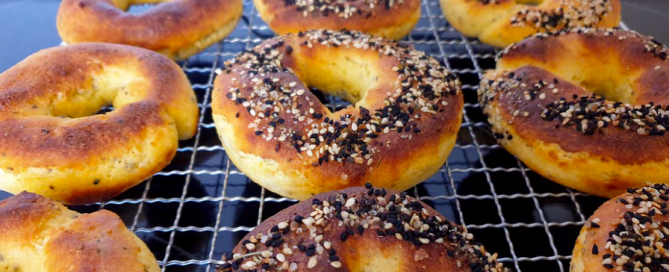 This is everything... Bagels! everything bagels