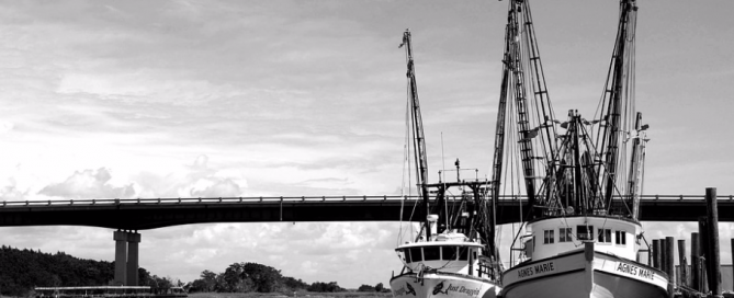 Ready to set sail with a fishing business? fishing boats