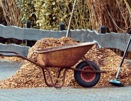 615+ All-Time Best Mulch Business Name Ideas for Landscaping Founders