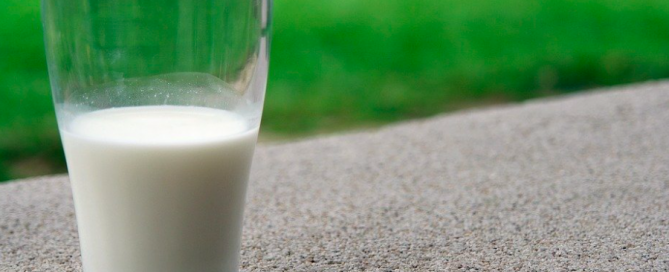 A refreshing glass of goat milk. goat milk