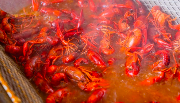 How to Start a Part-time Crawfish Farm
