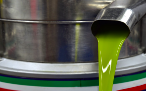 olive oil centrifuge