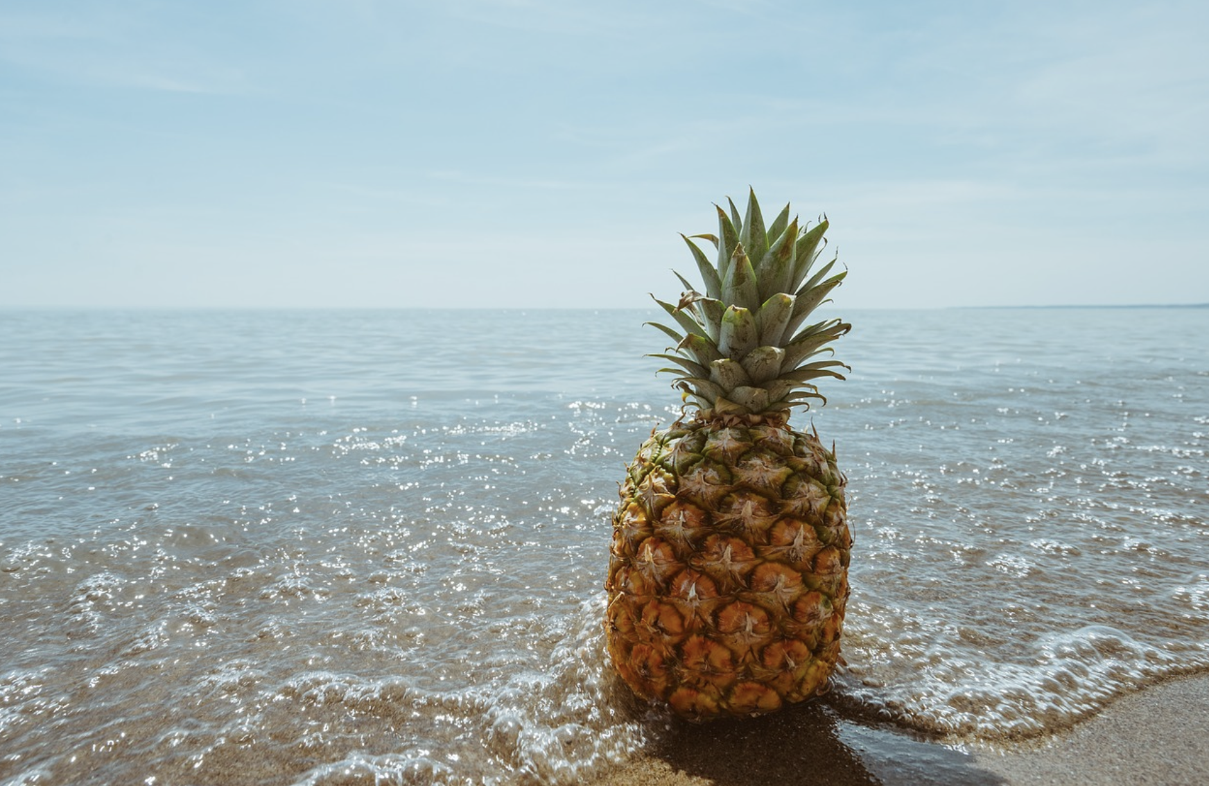pineapple in the ocean 