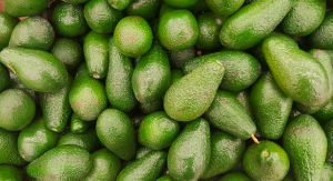supermarket avocados
