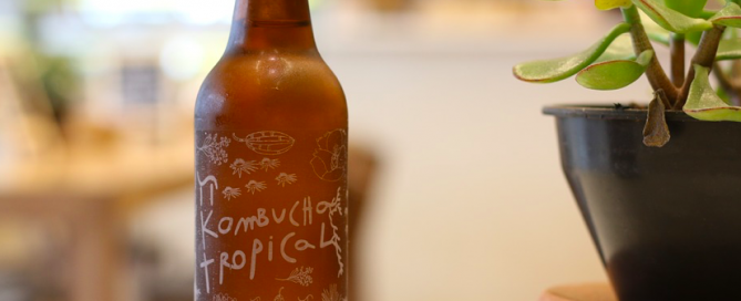 Tropical Kombucha flavor. tropical kombucha